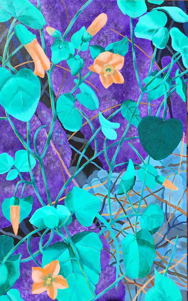 Butterfly Encounters
