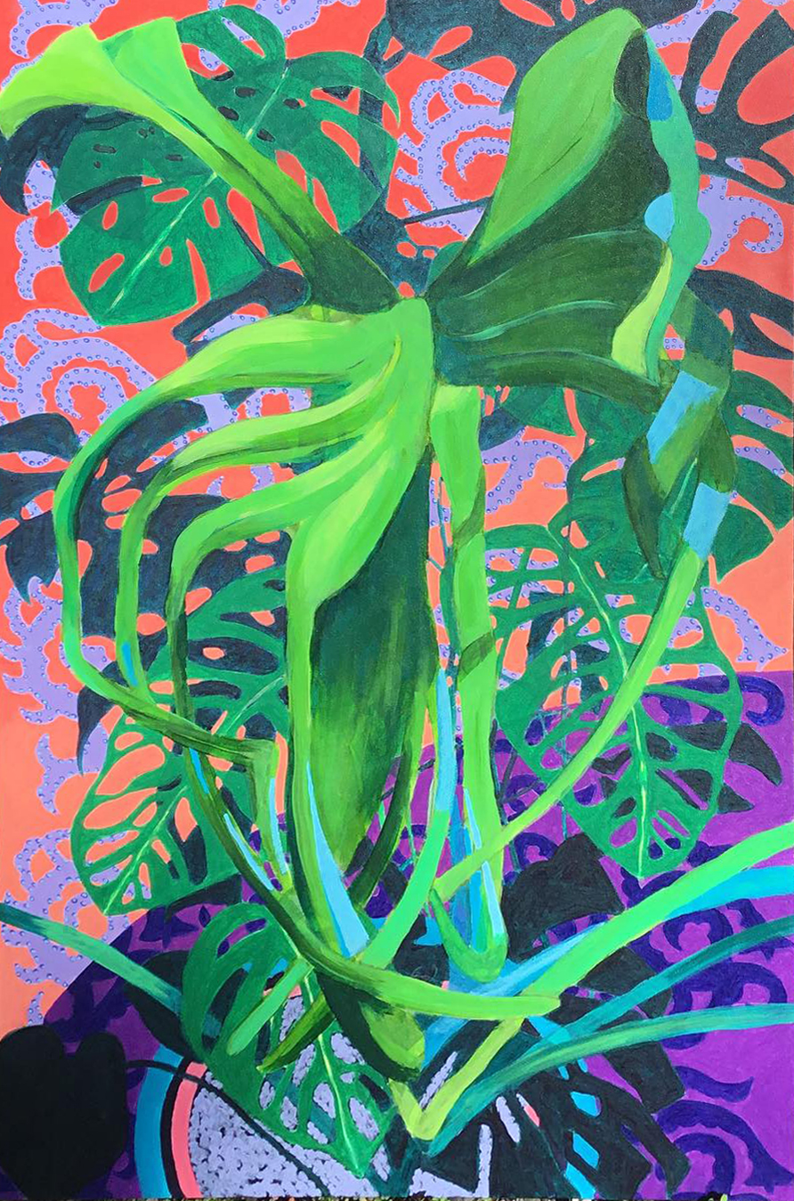 House Plant