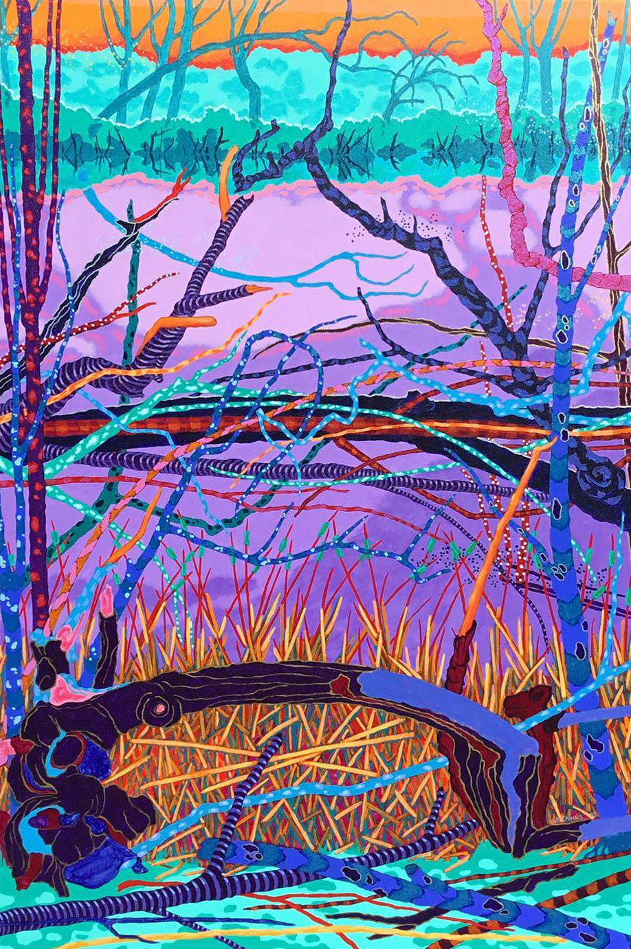 Dusk, Laguna de Santa Rosa